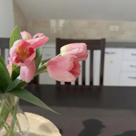 Beljan Apartment *